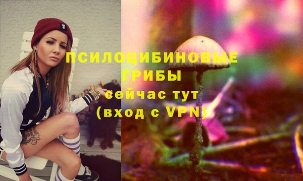 ПСИЛОЦИБИНОВЫЕ ГРИБЫ Белая Калитва