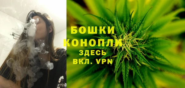 гашик Нягань