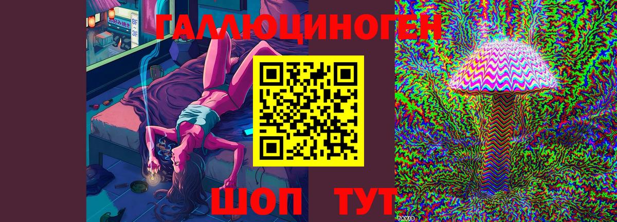 Псилоцибиновые грибы Psilocybine cubensis Менделеевск