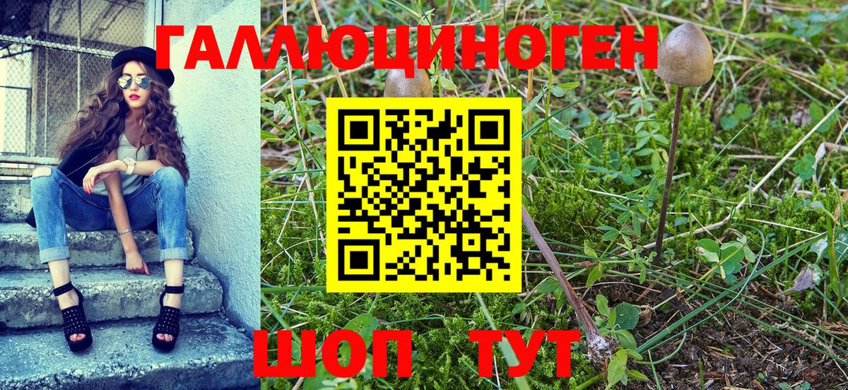 Менделеевск  Галлюциногенные грибы мицелий  где продают   Вход с VPN  Галлюциногенные грибы GOLDEN TEACHER 