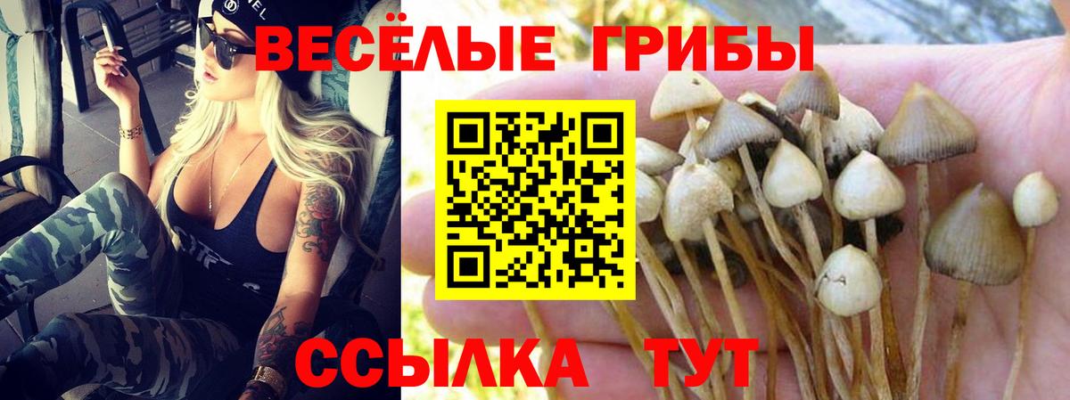 Галлюциногенные грибы GOLDEN TEACHER  цена наркотик  Менделеевск 